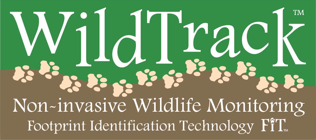 WildTrack